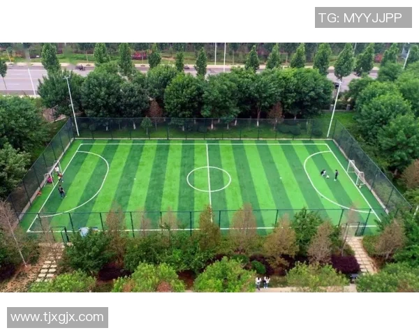 重磅专题：武汉篮球队如何实现进攻战术的全面革新与突破