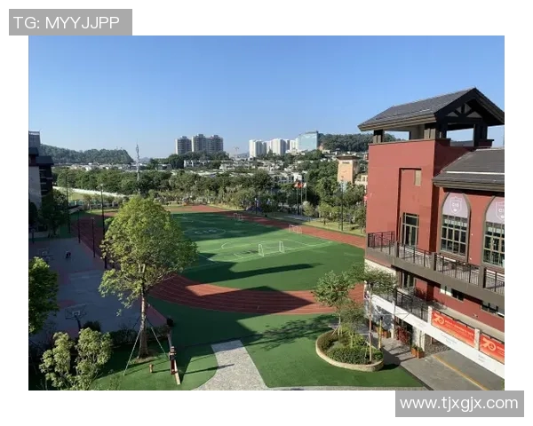 广州篮球队心理素质提升之路探讨与热议分析